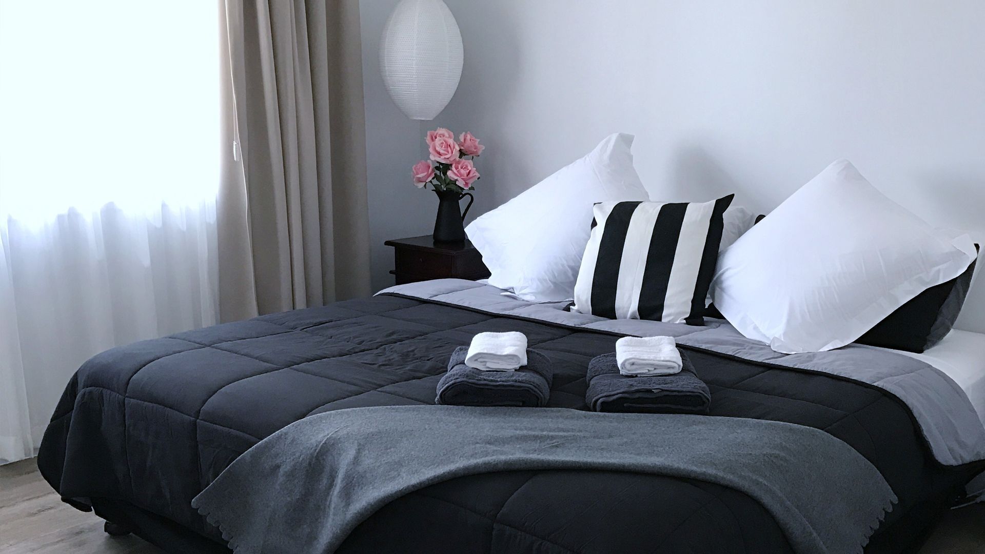 Songbird Lodge near Surfers Paradise Pet Friendly — image 17