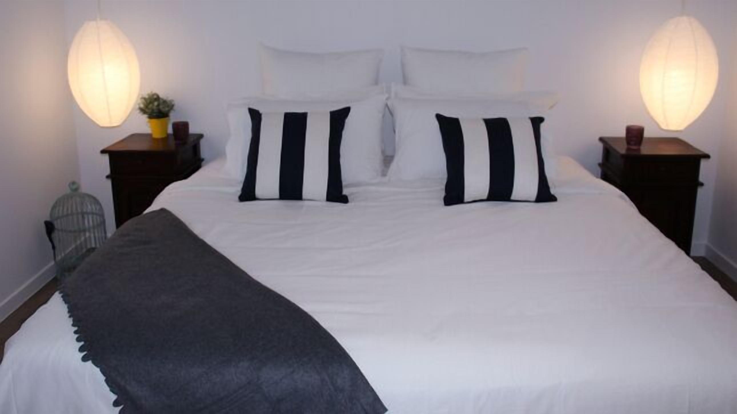 Songbird Lodge near Surfers Paradise Pet Friendly — image 2