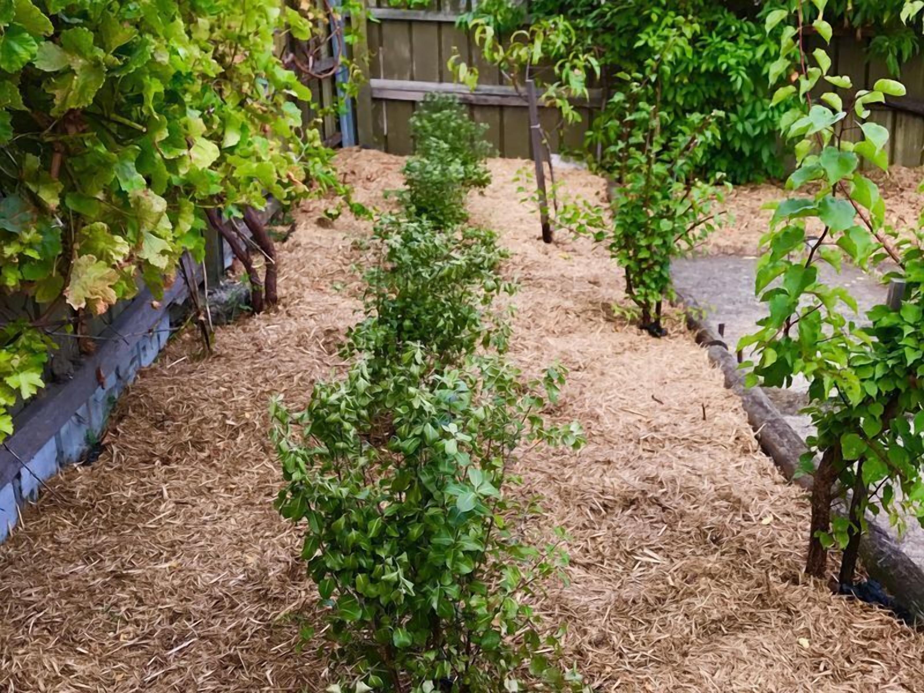 West Hobart House - perfect for families — image 11