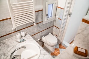 Shower, hair dryer, bidet, towels