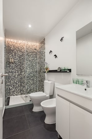 Shower, hair dryer, bathrobes, bidet