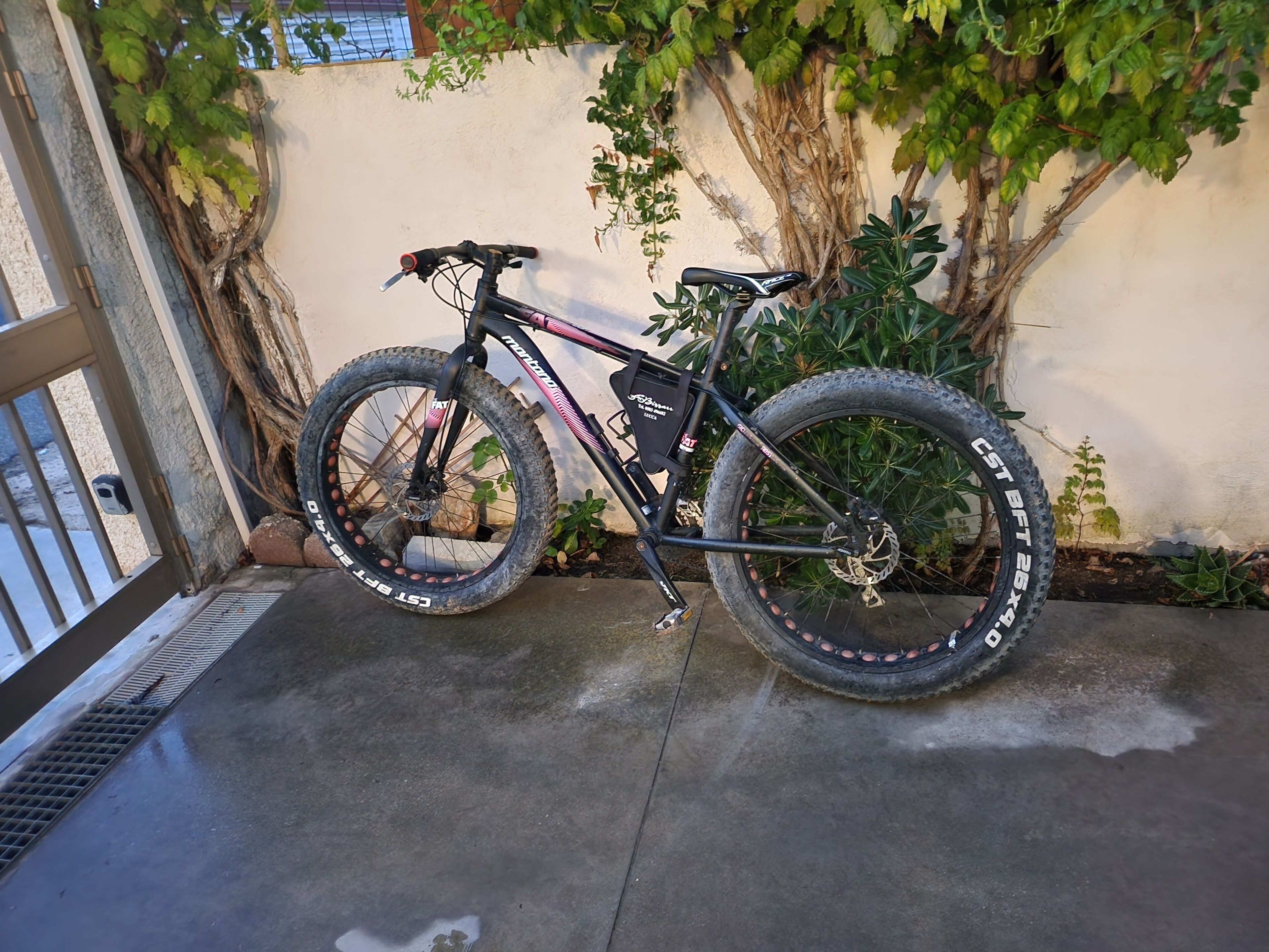 A bicycle parked on a concrete surface next to a wall with climbing plants.