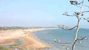 Un paysage côtier caractérisé par une plage de sable, un petit plan d’eau et une végétation clairsemée.