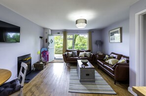 TV connectée, cheminée, lecteur de DVD