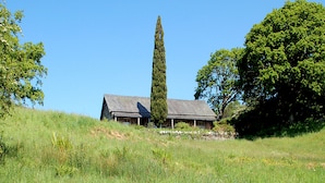 Una casa de piedra rústica con techo inclinado, rodeada de abundante vegetación y árboles altos.