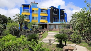 A multi-story building with a mix of blue and yellow exterior walls, a central entrance with a glass door, and a surrounding landscaped garden with palm trees and shrubs. - Dream & Green Pension (Seogwipo)