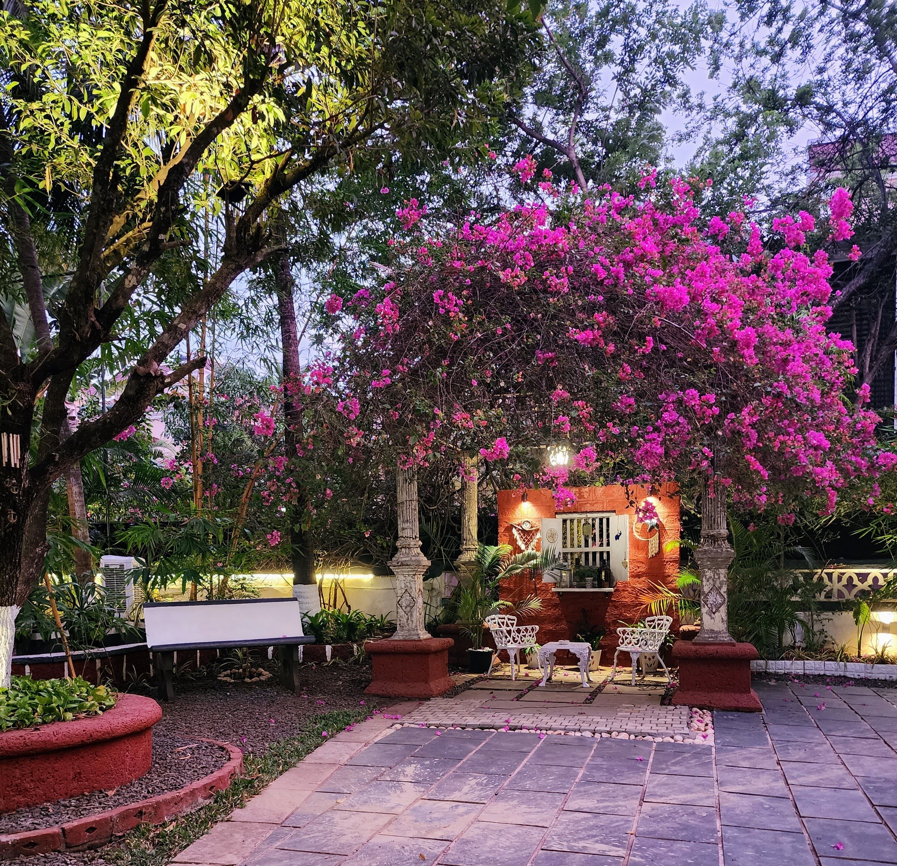A garden patio with a stone floor, surrounded by lush greenery and pink bougainvillea flowers.