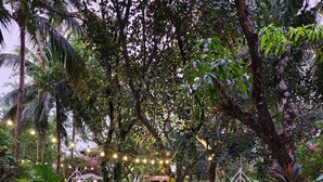 Ein Gartenweg mit trittfesten Steinen, umgeben von unterschiedlichen Pflanzen und Bäumen.