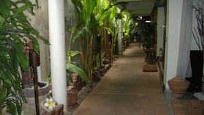 A corridor lined with large potted plants and a concrete floor. - Baan Pim (Chiang Mai)
