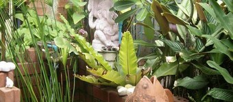 Baan Pim