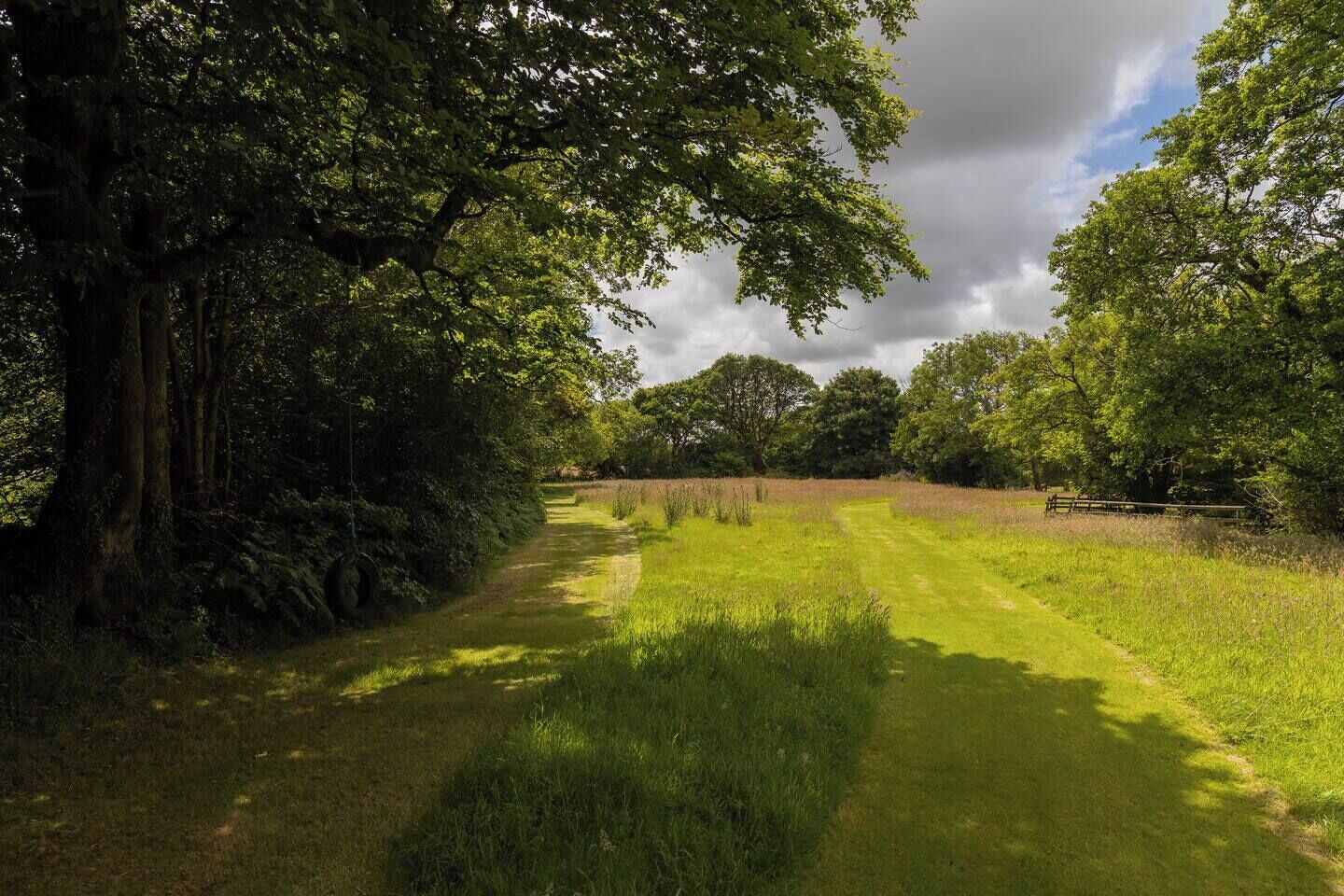A pathway through a lush green field with trees on both sides.
