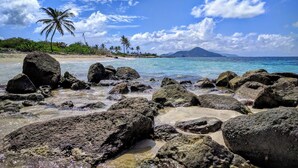 A tropical beach with large rocks in the foreground, a clear blue sky, and palm trees in the background. - Family Luxury, Resort Level Amenities, Ocean Views, Perfect Location, Gym. (Jessups)