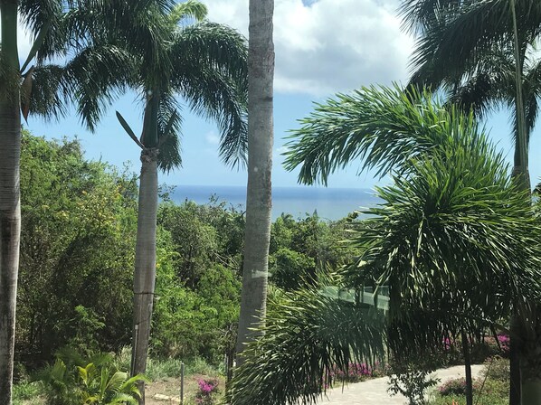 A tropical garden with palm trees and a view of the ocean. - Family Luxury, Resort Level Amenities, Ocean Views, Perfect Location, Gym. (Jessups)