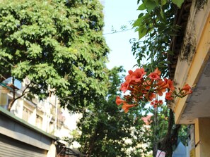 Chi tiết ngoại thất