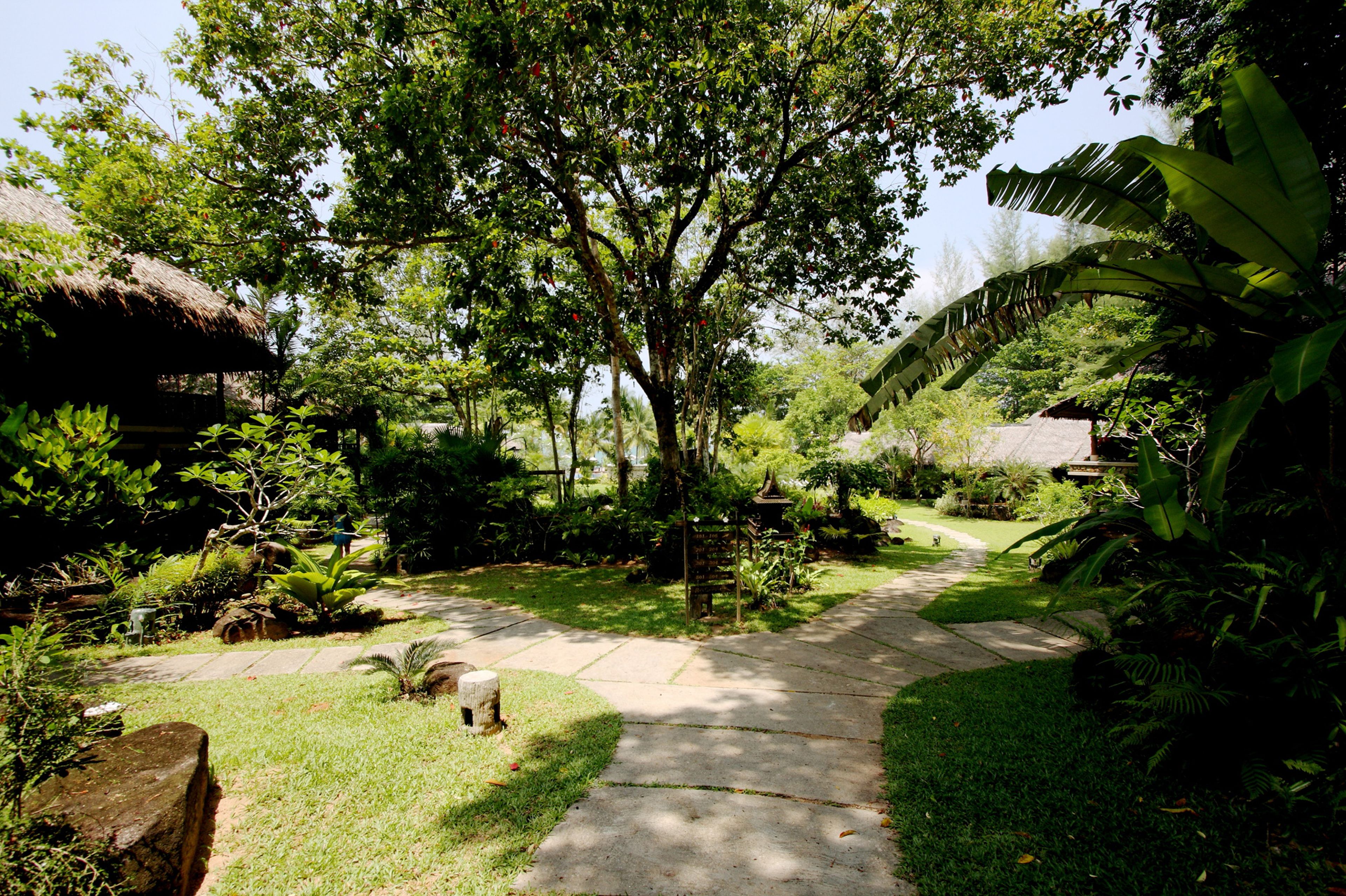 Photo - Khaolak Paradise Resort