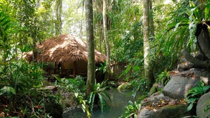 Una cabaña con techo de paja rodeada de exuberante vegetación tropical y un pequeño cuerpo de agua.