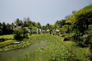 Áreas de la propiedad