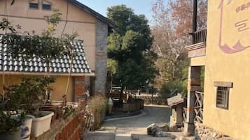 Un estrecho callejón con un edificio a la izquierda y un muro de piedra a la derecha.