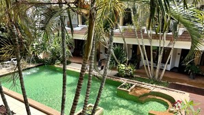 A swimming pool with clear water, surrounded by palm trees and a tiled deck.