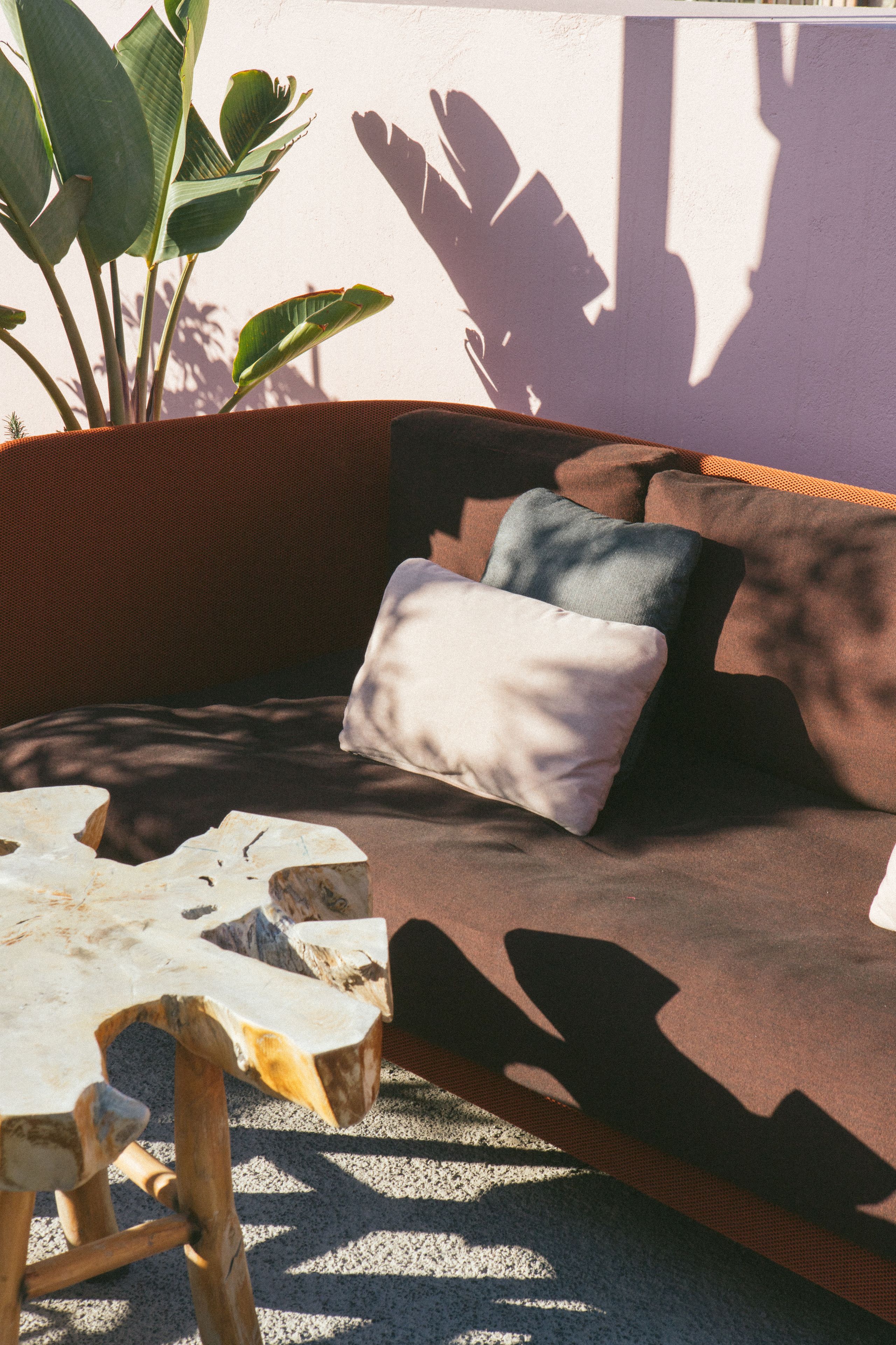 A cozy seating area with a cushioned sofa, a wooden coffee table, and a potted plant.
