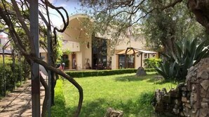 Un patio con muro de piedra, pérgola y edificio con techo de tejas.