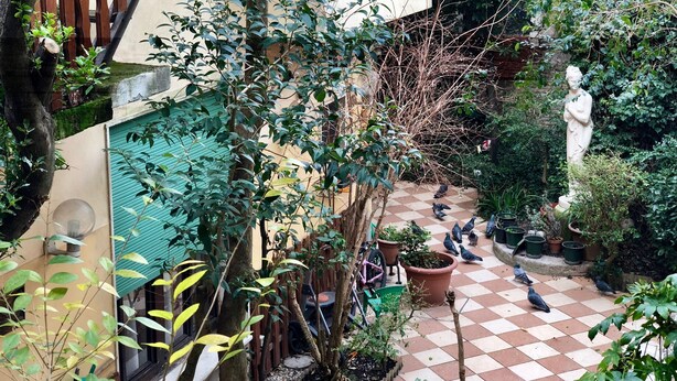 A courtyard with a checkered floor, potted plants, a statue, and a bicycle. - Ca' Giulia (Venice)