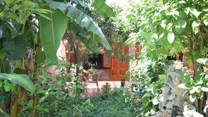 Una casa de madera rústica rodeada de abundante vegetación y una estructura rocosa.