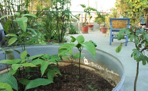 Terrace/patio - Bed & Chai Guest House (New Delhi)