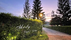 A pathway flanked by neatly trimmed hedges and tall trees, leading towards a sunset. - Misty English Cottage (Khao Kho)