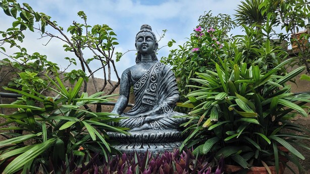 A seated Buddha statue surrounded by lush greenery. - Prakash Kutir B&B (New Delhi)