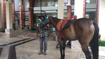 Una persona de pie junto a un caballo con arnés, frente a un edificio con paredes de ladrillo y ventanas grandes.