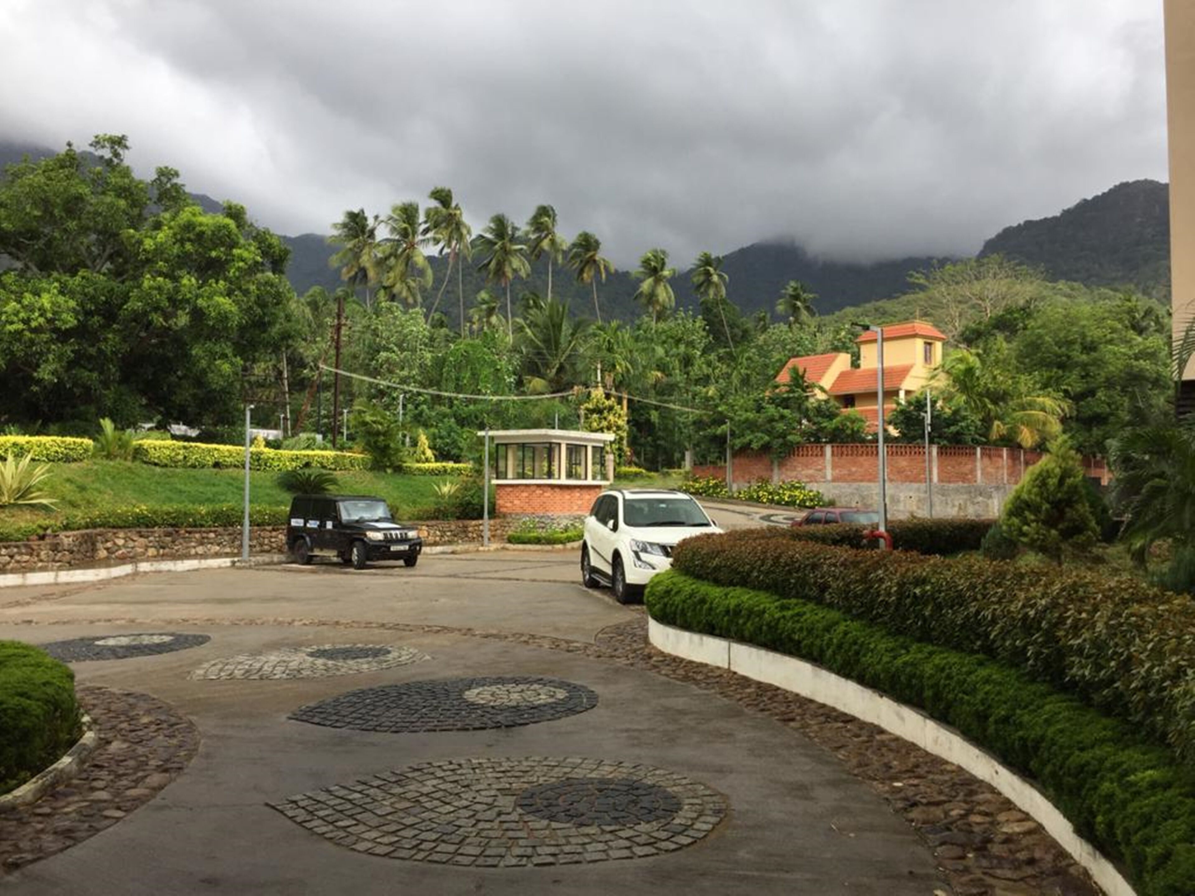 A parking area with a paved surface, surrounded by landscaped greenery and palm trees.
