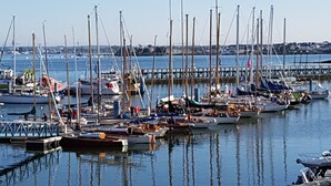 Eksteriør