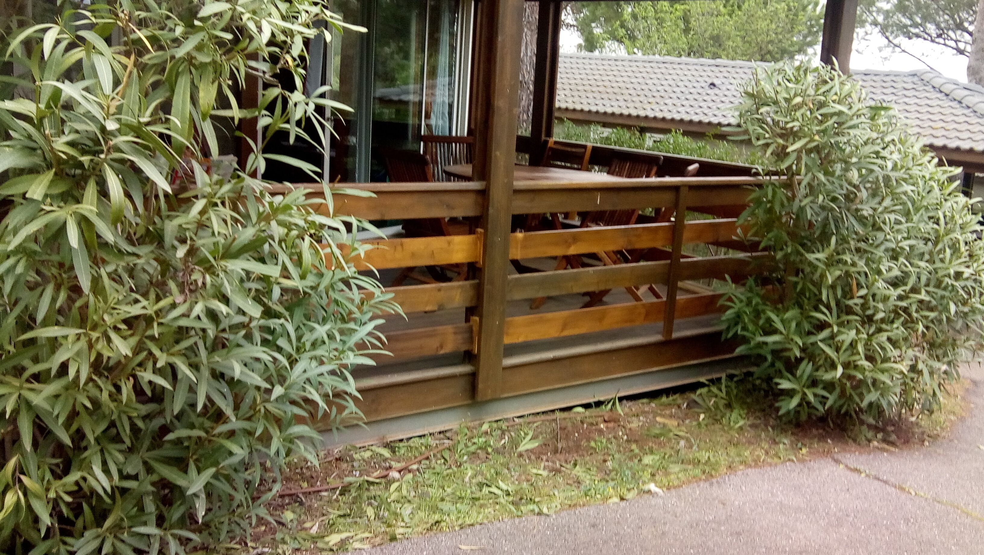 A wooden deck with a railing, surrounded by green foliage.