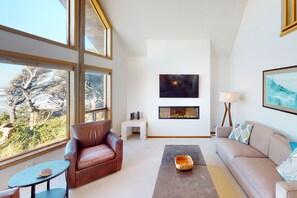 テレビ、暖炉、DVD プレーヤー