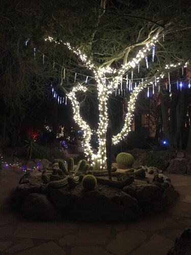 Amazing 2Bd/2Ba Scottsdale Condo directly across street from Fashion Square 