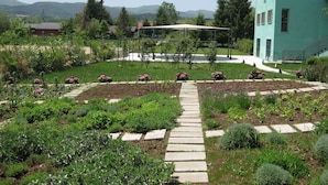 Een tuin met een pad van stenen dat leidt naar een prieel, omringd door diverse planten en bloemen.