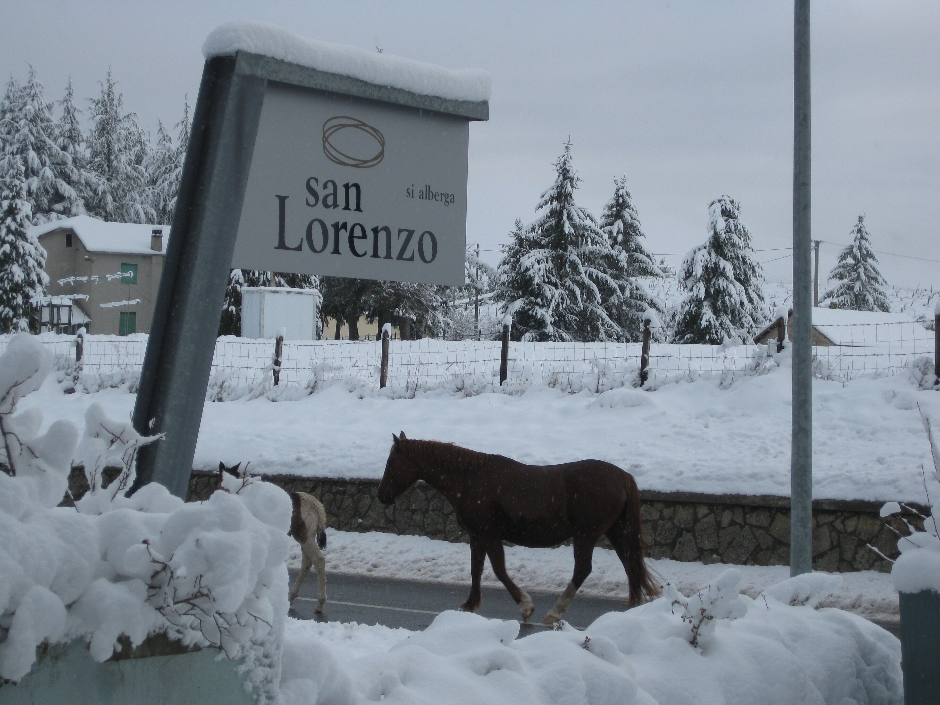 Foto - San Lorenzo Si Alberga