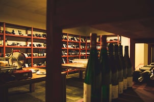 Alimentos y bebidas