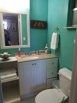 Master Bathroom w/ Shower - LOCATION! Only 5 mins to Wellington, 4 mins to Turnpike, 18 mins to the BEACH! (Lake Worth)