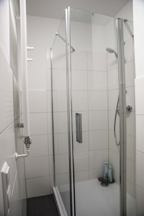 Shower, free toiletries, hair dryer, towels