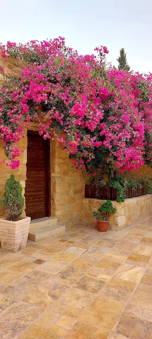 A stone building with a wooden door, potted plants, and pink flowering vines.