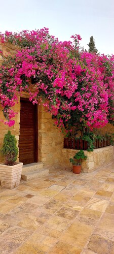 Hayat Zaman Hotel & Resort