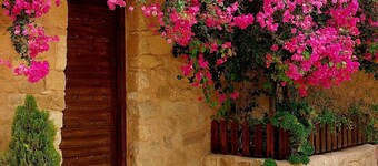 ハイアット ザマン ホテル アンド リゾート ペトラ