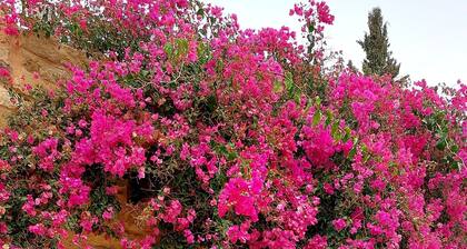 Hayat Zaman Hotel & Resort