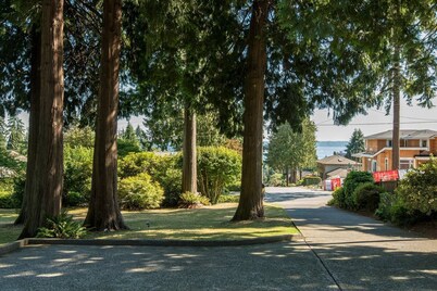 Exclusive Spacious Suite with Private Patio 