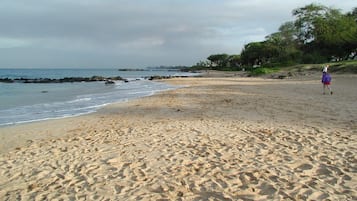 Nær stranden, solsenger og strandhåndklær