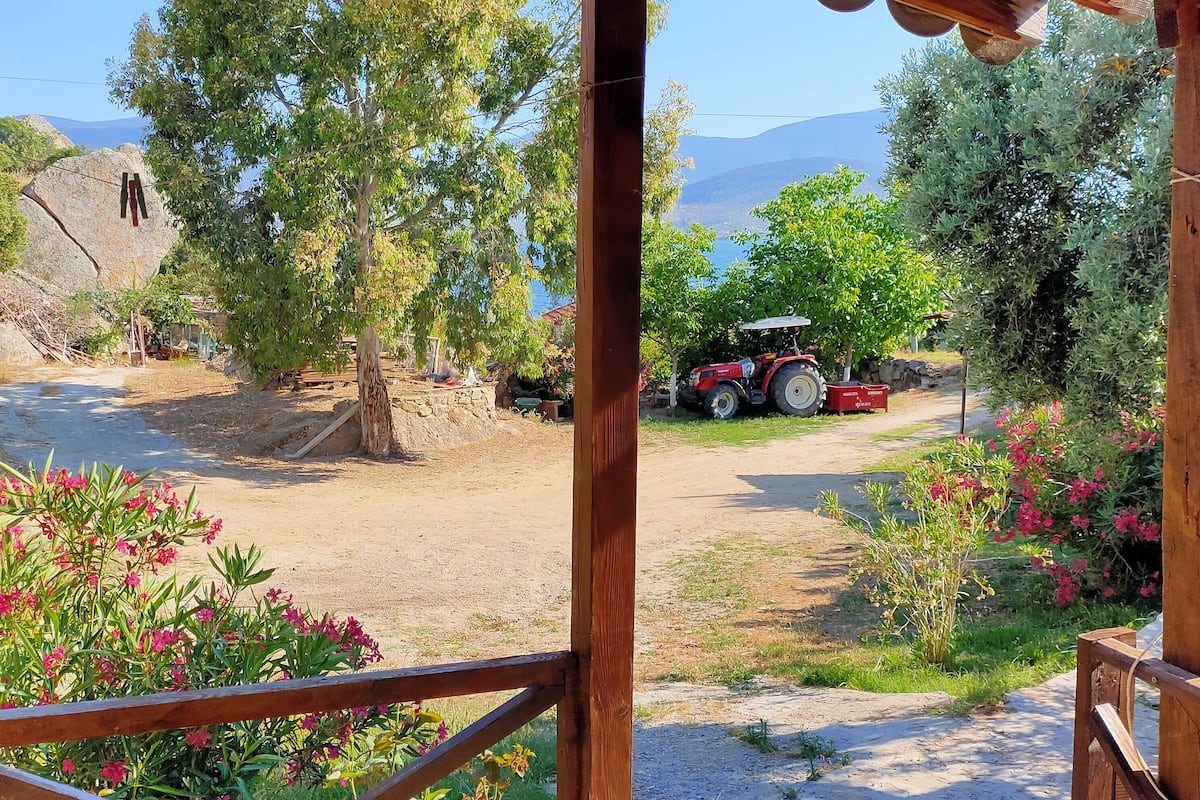 Paisagem rural com um caminho de terra, um trator vermelho e uma construção de madeira com telhado.