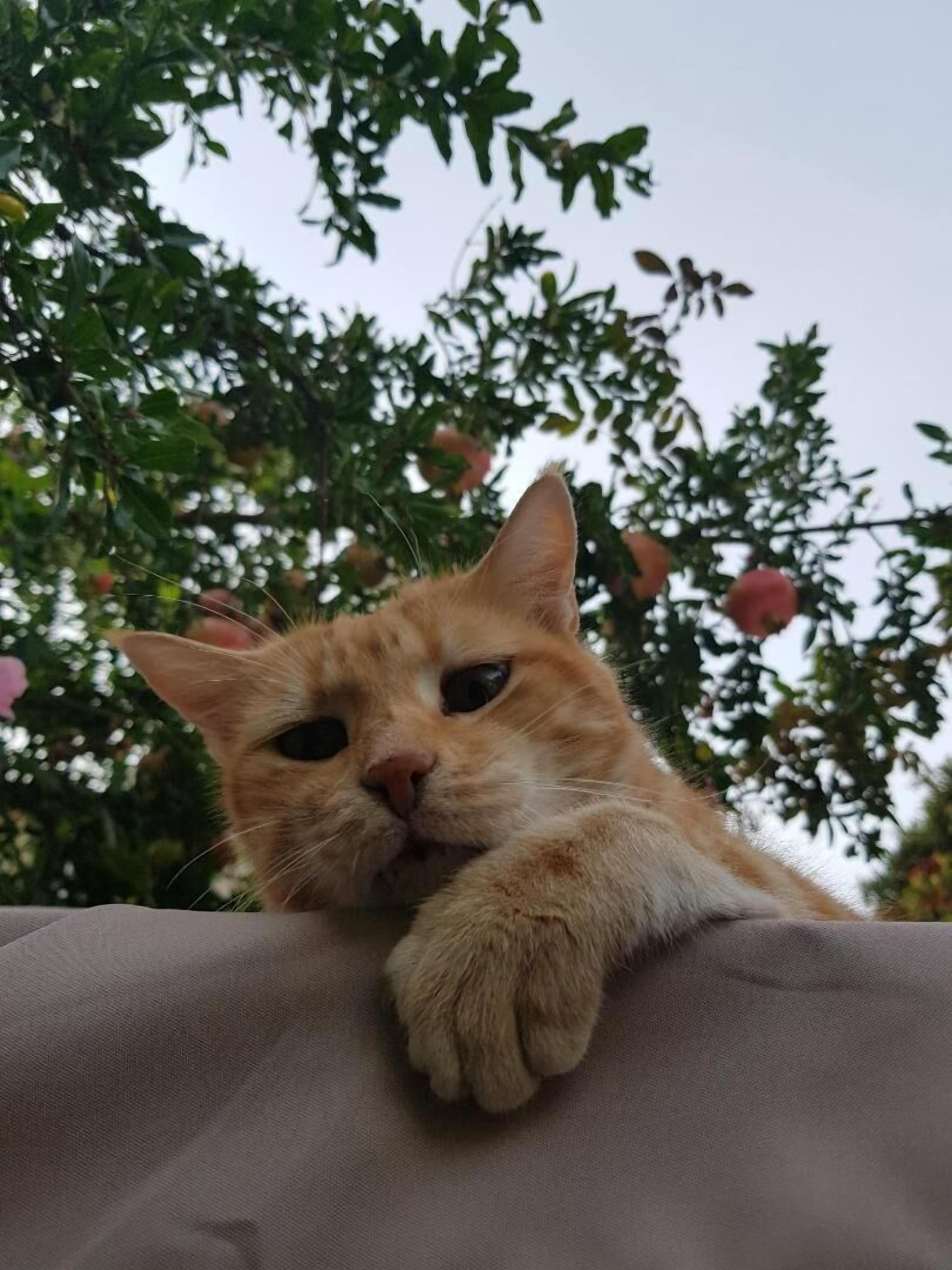 Photo - B&B Casa San Jacopo al Giardino