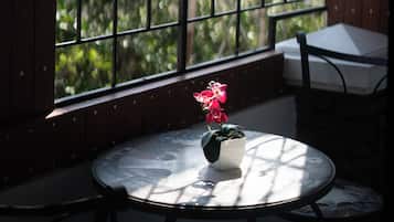 Superior-Zimmer | Terrasse/Patio